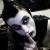 Profile Picture of Jeffery Gaddis (@428942351) on Myspace