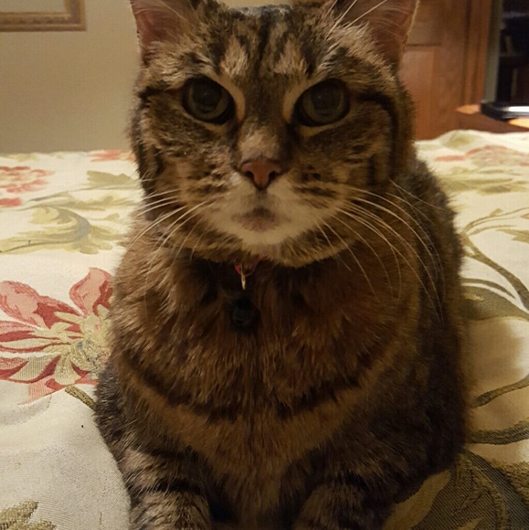 Profile Picture of Kelly Rotert (@krotert) on Poshmark