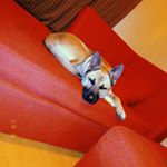 Profile Picture of sasha cabrera (@_.sasha_c) on Instagram