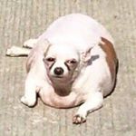 Profile Picture of Catherine (@prettyhatemachinist) on Instagram