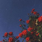 강민경 - Instagram Profile Picture of 강민경 (@min_ng_y) on Instagram