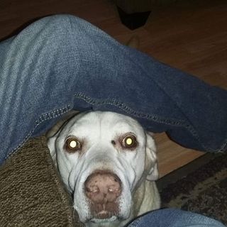 Profile Picture of Kevin B Lumbert (@kevinb.lumbert) on Facebook