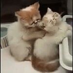 Profile Picture of David Belkacemi (@belkacemi9822) on Instagram