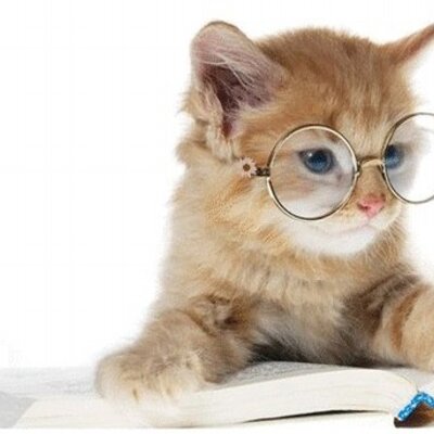 Profile Picture of Julie Dupont (@littlesoftangel) on Twitter