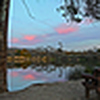 Profile Picture of Daniel Press (@Daniel Press) on Flickr