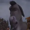 Profile Picture of Trevor (@trevorfarts) on Tiktok