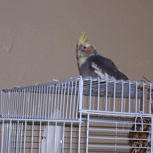 Nathan A Abler - Myspace Profile Picture of Nathan A Abler (@360711537) on Myspace