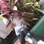 Profile Picture of yukizero21 (@@yukizero21) on Tiktok