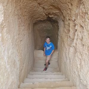 Profile Picture of Joseph Streeter (@Josephstreeter0) on Twitter