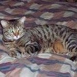 Bobbi Emery - Instagram Profile Picture of Bobbi Emery (@b.j.emery) on Instagram