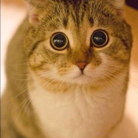 Profile Picture of Sierra Schappell (@sierra5) on Poshmark