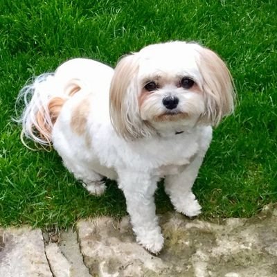 Profile Picture of Brian Empey (@BFEmpey) on Twitter