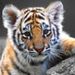 Profile Picture of John Leppert (@jleppert3485) on Pinterest
