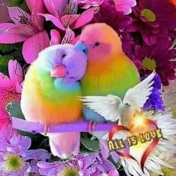 Profile Picture of Amina Sharif (@AminaSh64008918) on Twitter