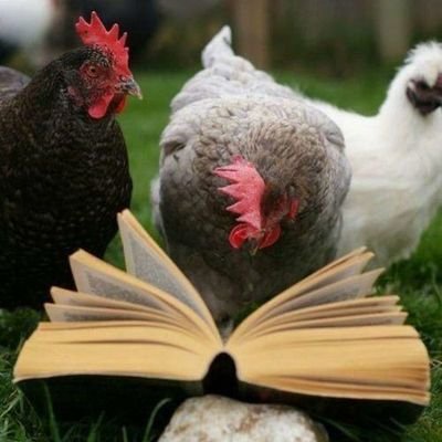 Profile Picture of HussamAhmed (@HussamAhmed200) on Twitter