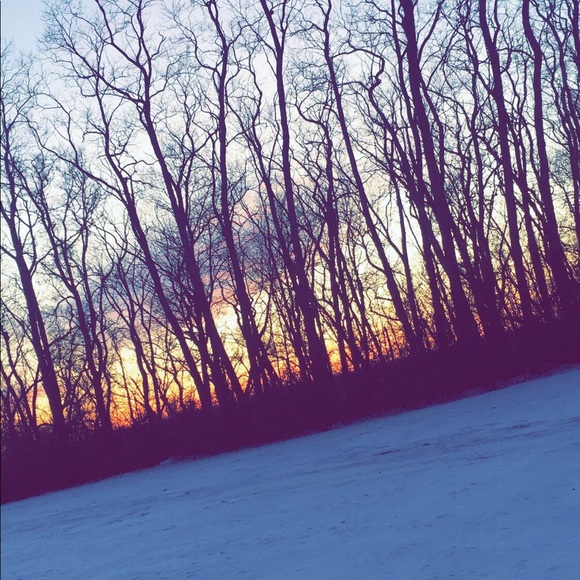 Profile Picture of Danielle Tazic (@dct18) on Poshmark