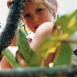 Profile Picture of Daniel Benton (@danielthebenton) on Instagram