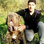 Profile Picture of Vincenzo Fusaro (@vincenzo.fusaro.54) on Instagram