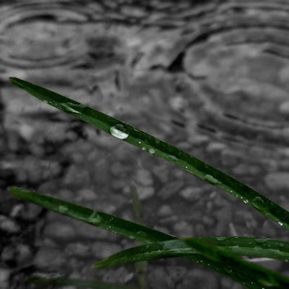 Profile Picture of Alejandro Valentin (@veep358) on Poshmark