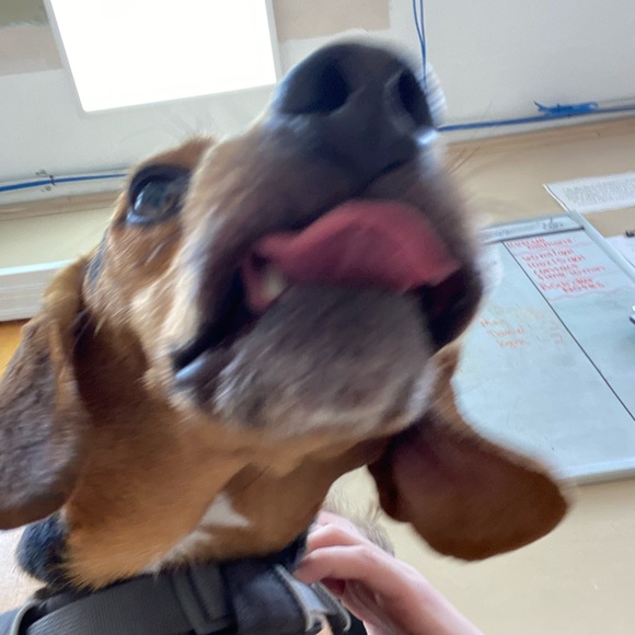 Max Harding - Poshmark Profile Picture of Max Harding (@maxharding3407) on Poshmark