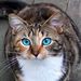Profile Picture of Ruby Jean Donovan (@rubydonovan9) on Pinterest
