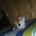 Profile Picture of Lucy Miño (@lucy.mino.5) on Facebook