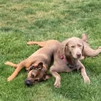 Profile Picture of Kristopher Grudzinski (@Kristopher-Grudzinski) on Facebook