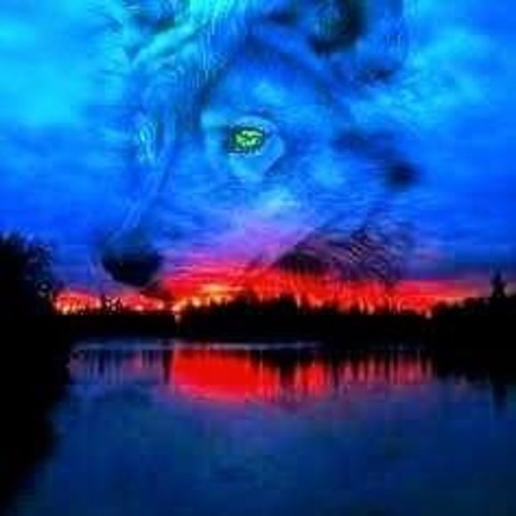 Profile Picture of Mark Rose (@rosedocwilby) on Poshmark