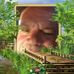 Profile Picture of Peter Davitt (@peter.davitt.18) on Facebook