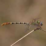 Profile Picture of William Hull (@mango verde) on Flickr