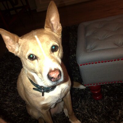 Profile Picture of Nick Fallon (@NickFallon10) on Twitter