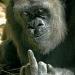 Profile Picture of Brian Schrade (@brianschrade) on Instagram