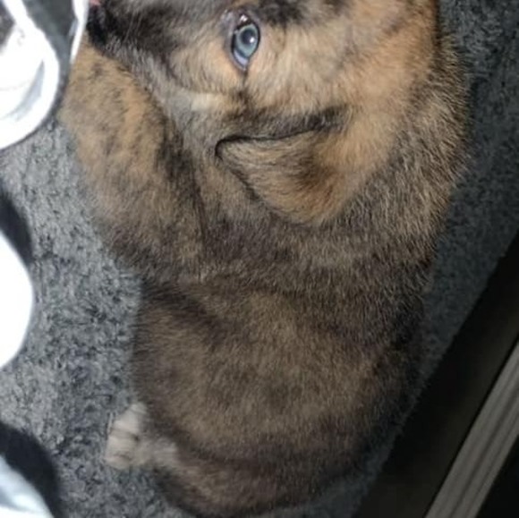 Profile Picture of Noah Kretchek (@noahkretchek) on Poshmark