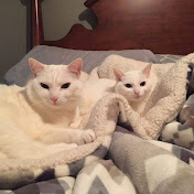 Profile Picture of Jade Parker (@jadeparker5812) on Youtube