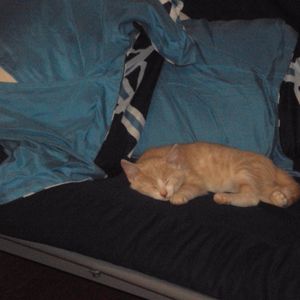 Profile Picture of Kimblackwell (@kimblac38894666) on Myspace