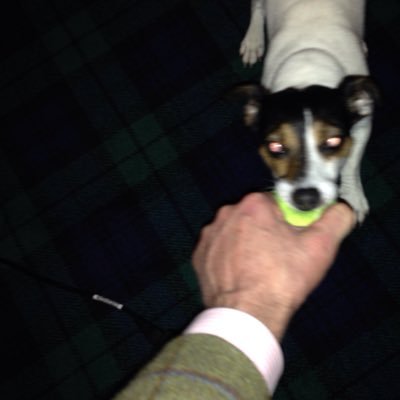 Profile Picture of Adrian Laird Craig (@WineLaird) on Twitter