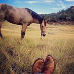 Profile Picture of Bobby Branson (@bobbyebranson) on Instagram