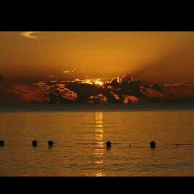 Profile Picture of Brian Slabach (@SlabachBrian) on Twitter