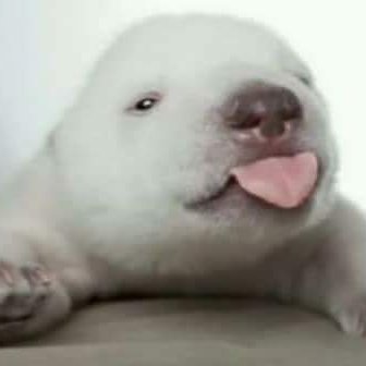 Profile Picture of 자넷 (@GiselaSolis) on Twitter