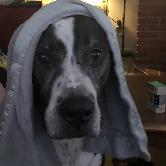 Profile Picture of Jaclyn Knight (@smithj44) on Poshmark