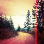 Profile Picture of Ernest Titos (@rasmussencilkara2846) on Instagram