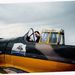 Profile Picture of David Burns-Prouty (@burnsprouty) on Pinterest