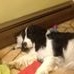 Profile Picture of Alice Weissman (@peggy.weissman.39) on Facebook