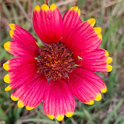 Profile Picture of Ahmed Khattab (@Ahmed-25) on Youtube