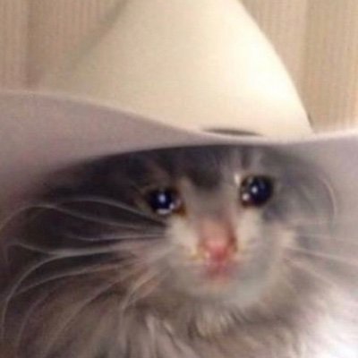 Profile Picture of Mike And Boris ☆ (@pavlikovskyis) on Twitter