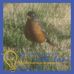 Profile Picture of Judy K Stephens Fortner (@judy.stephensfortner) on Facebook