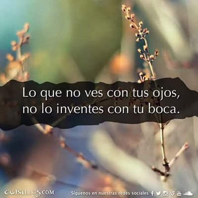 Profile Picture of Cecilia Gabriel (@barcelona788or1) on Twitter