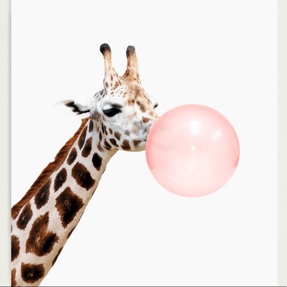 Profile Picture of Robin Barnes (@robin279) on Poshmark