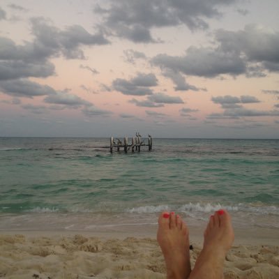 Profile Picture of Janet Frank (@JanetFr11616397) on Twitter