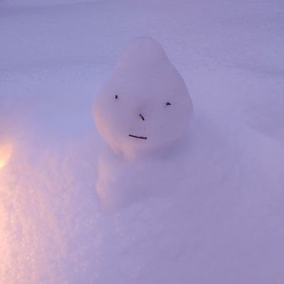 Profile Picture of Divine Comity (@DavidMiceli88) on Twitter